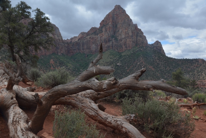 The Watchman Trail 